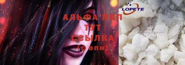 индика Михайловск