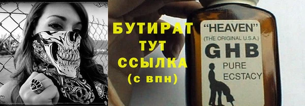 индика Михайловск