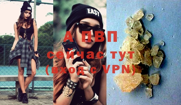 индика Михайловск