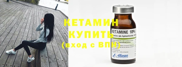 индика Михайловск