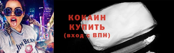 индика Михайловск