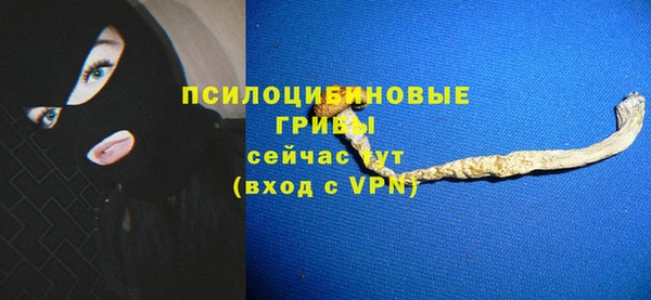 индика Михайловск