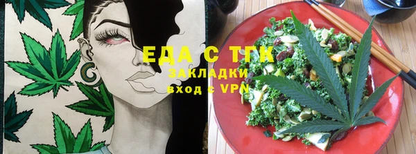 индика Михайловск