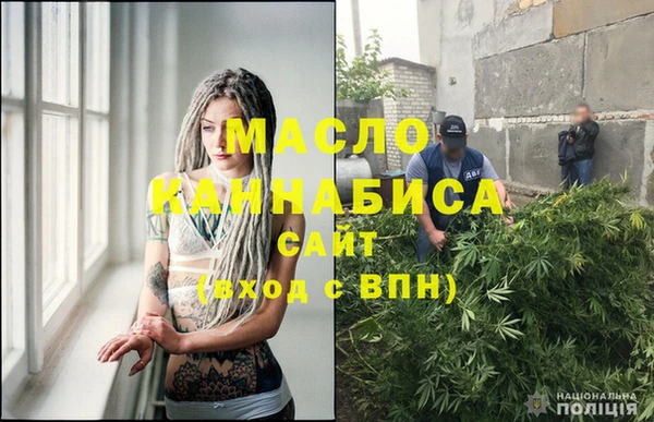 индика Михайловск