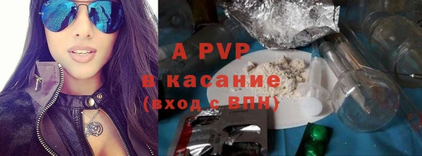 индика Михайловск