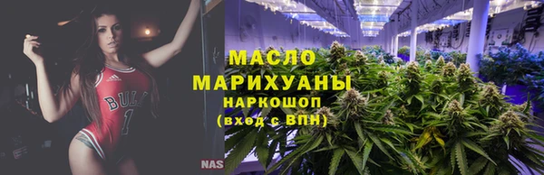 индика Михайловск