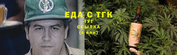 индика Михайловск