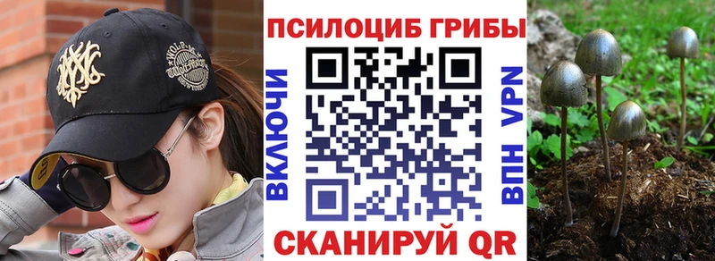 omg сайт купить наркотик Черепаново Псилоцибиновые грибы мицелий